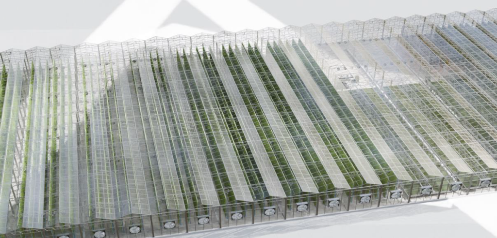 Illustration of a hybrid vertical farm combining greenhouse elements such as a glass roof with the space efficient vertical structure.