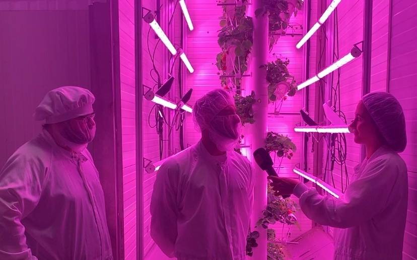 Radio Essen interviews co-founders Dr. Maximilian Hartmann and Dr. Stefan Hey in the vertical farm of vGreens.