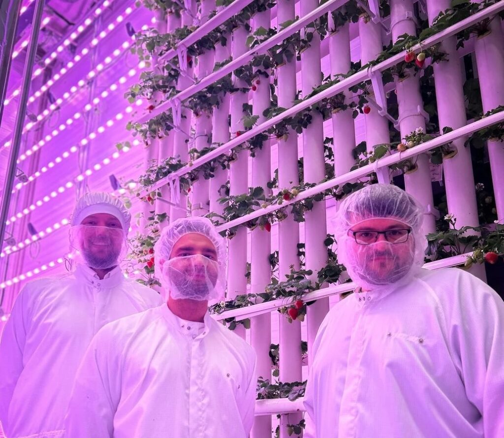 vGreens' co-founder Dr. Maximilian Hartmann, Dr. Stefan Hey und Claas Ahrens stand next to their vertical farm.