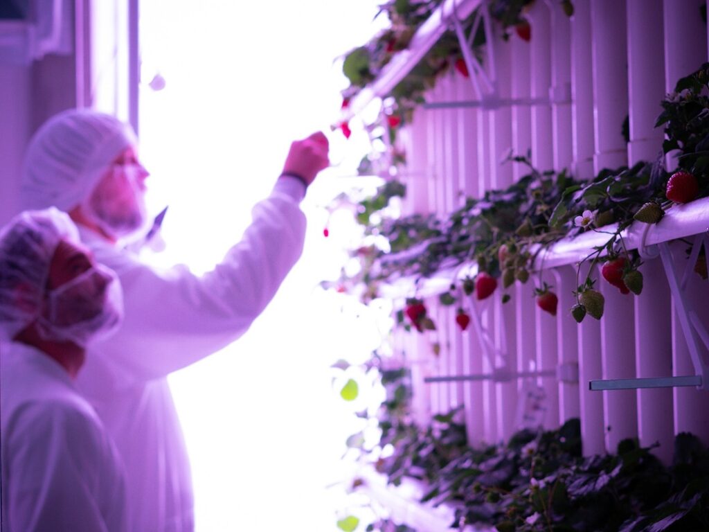 vGreens' co-founders Dr. Maximilian Hartmann und Claas Ahrens stand next to their vertical farm.