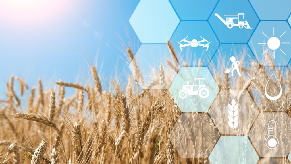 Modern agriculture with technologies such as drones, tractors and weather monitoring in a wheat field.