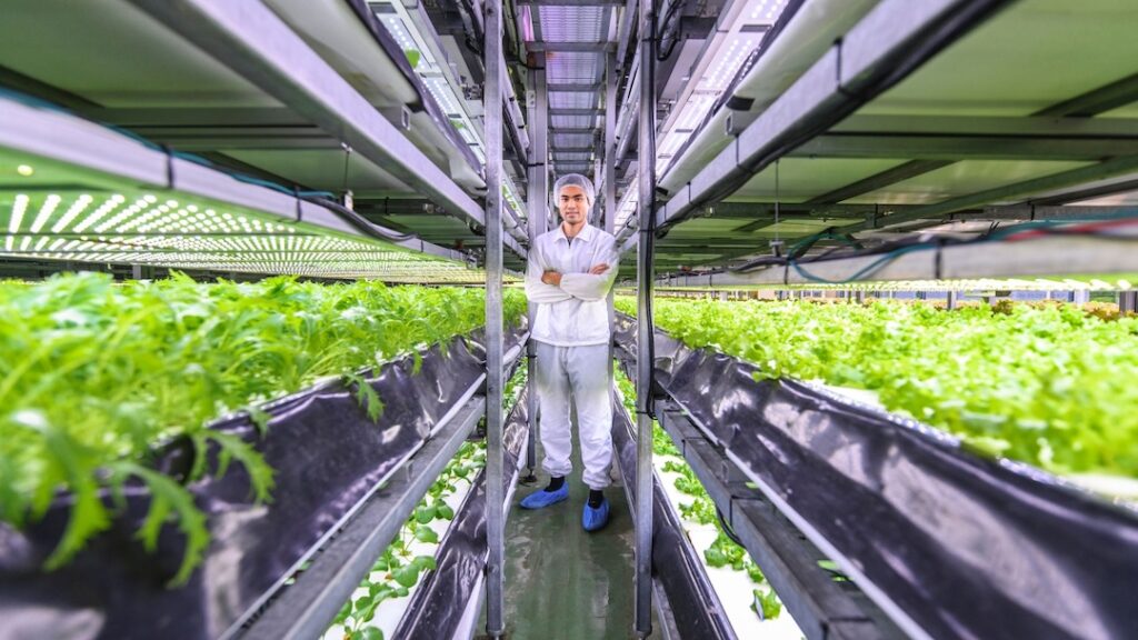 Scientist in a white protective suit stands in a vertical indoor farm between LED-lit plant shelves with green leafy vegetables.